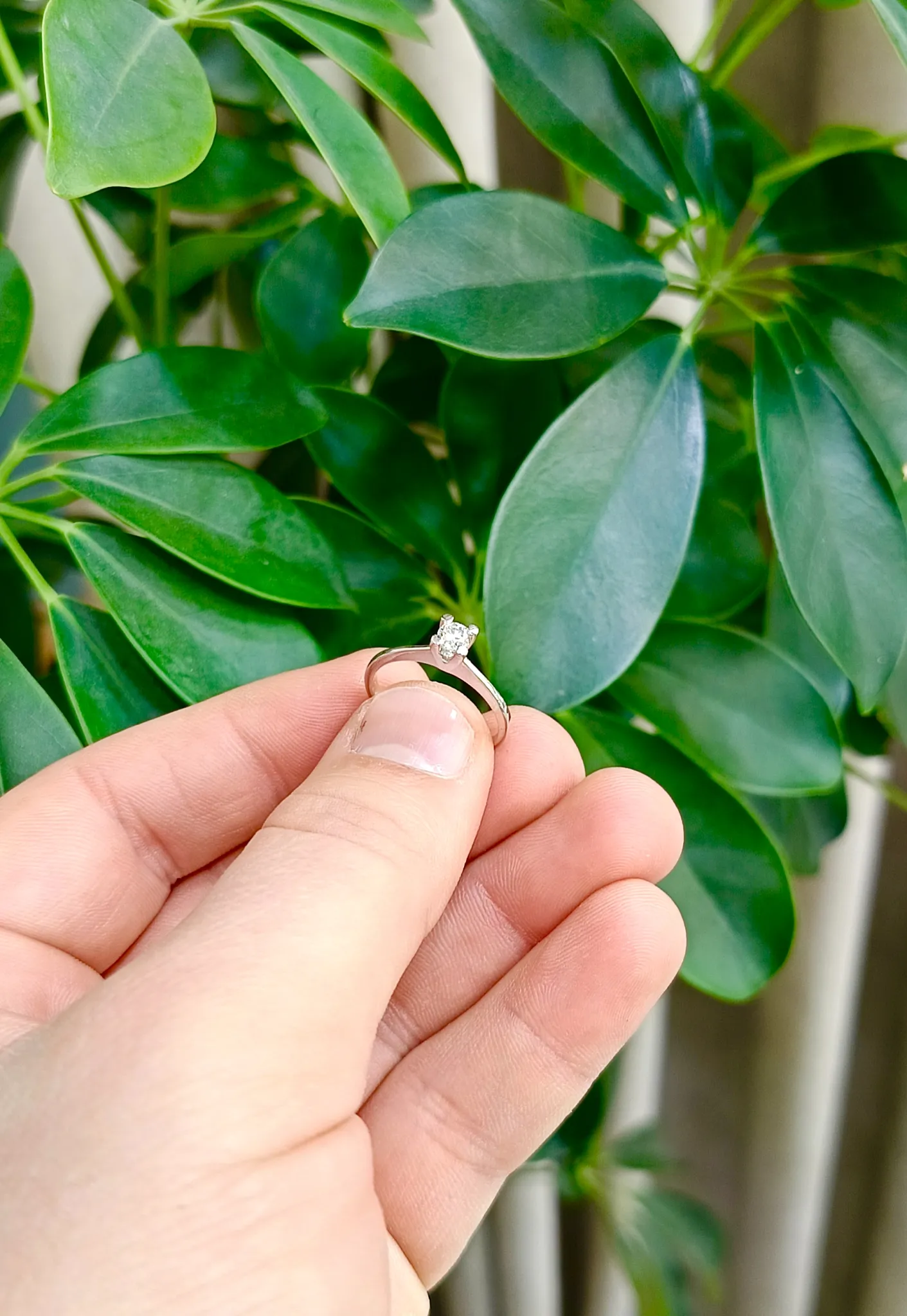 Pırlanta Tektaş Yüzük