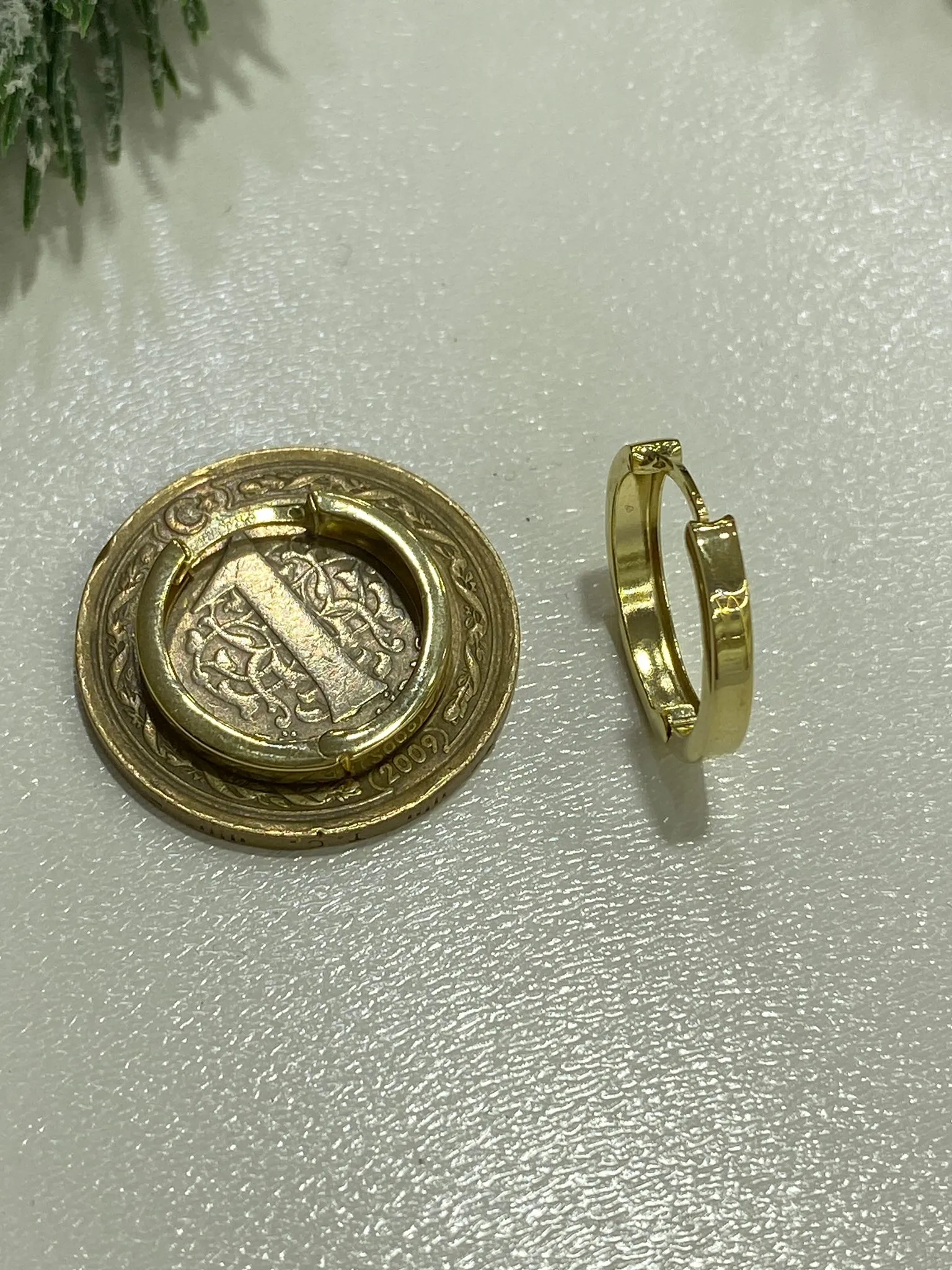 Favori Marka Halka Model Küpe