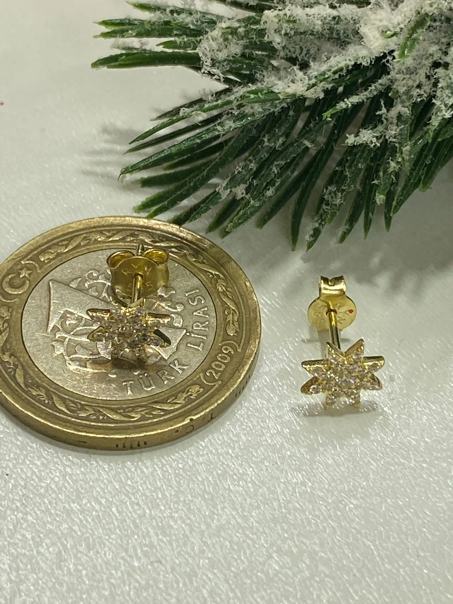 Favori Marka Çicek Model Küpe