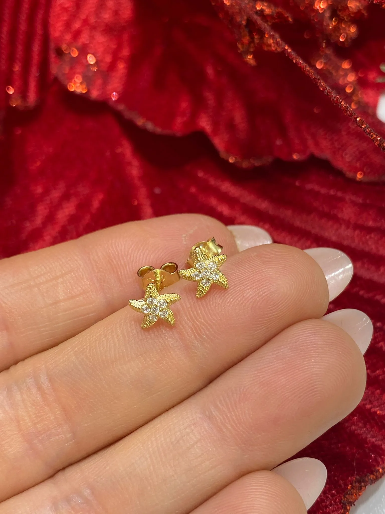 Favori Marka Deniz Yıldızı Model Küpe