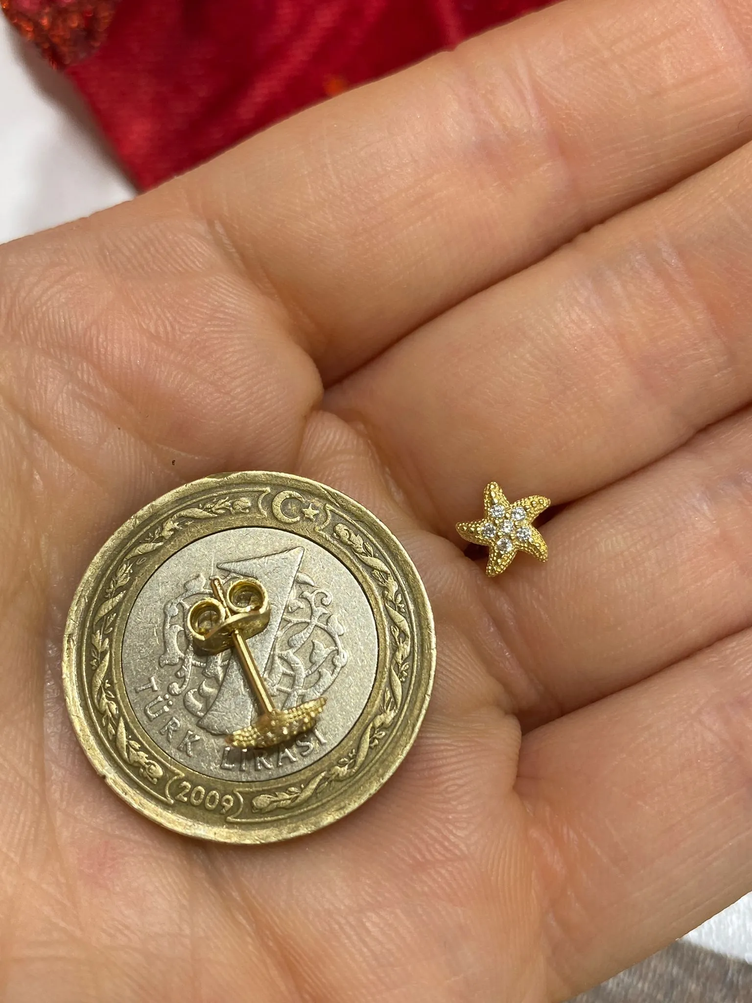 Favori Marka Deniz Yıldızı Model Küpe