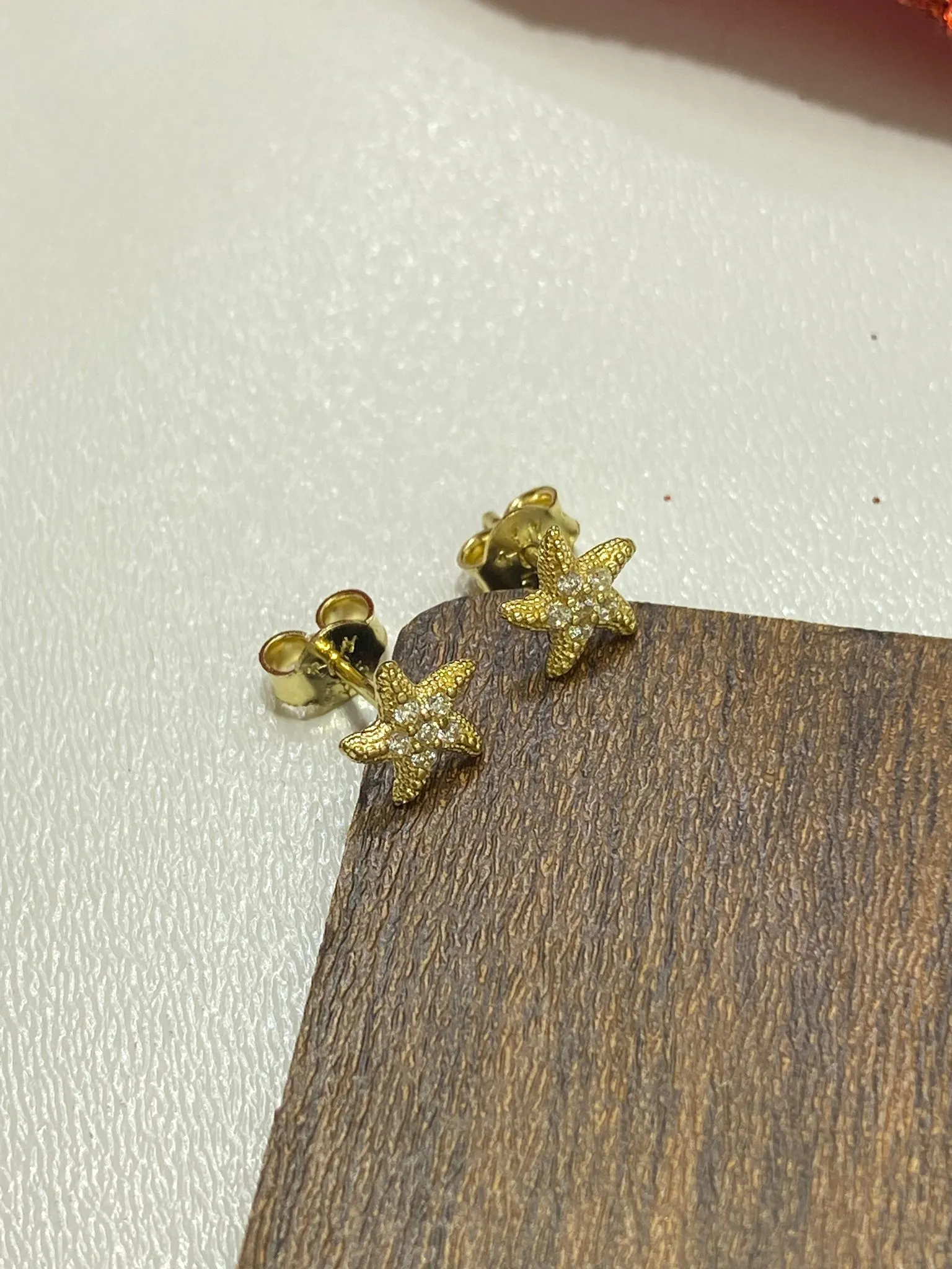 Favori Marka Deniz Yıldızı Model Küpe