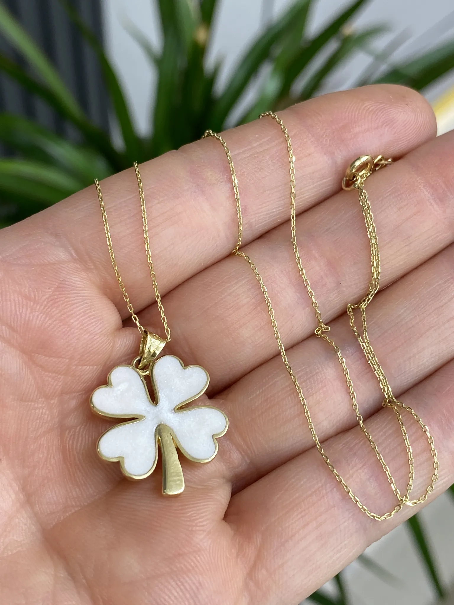 Favori Marka Yonca Model Uç