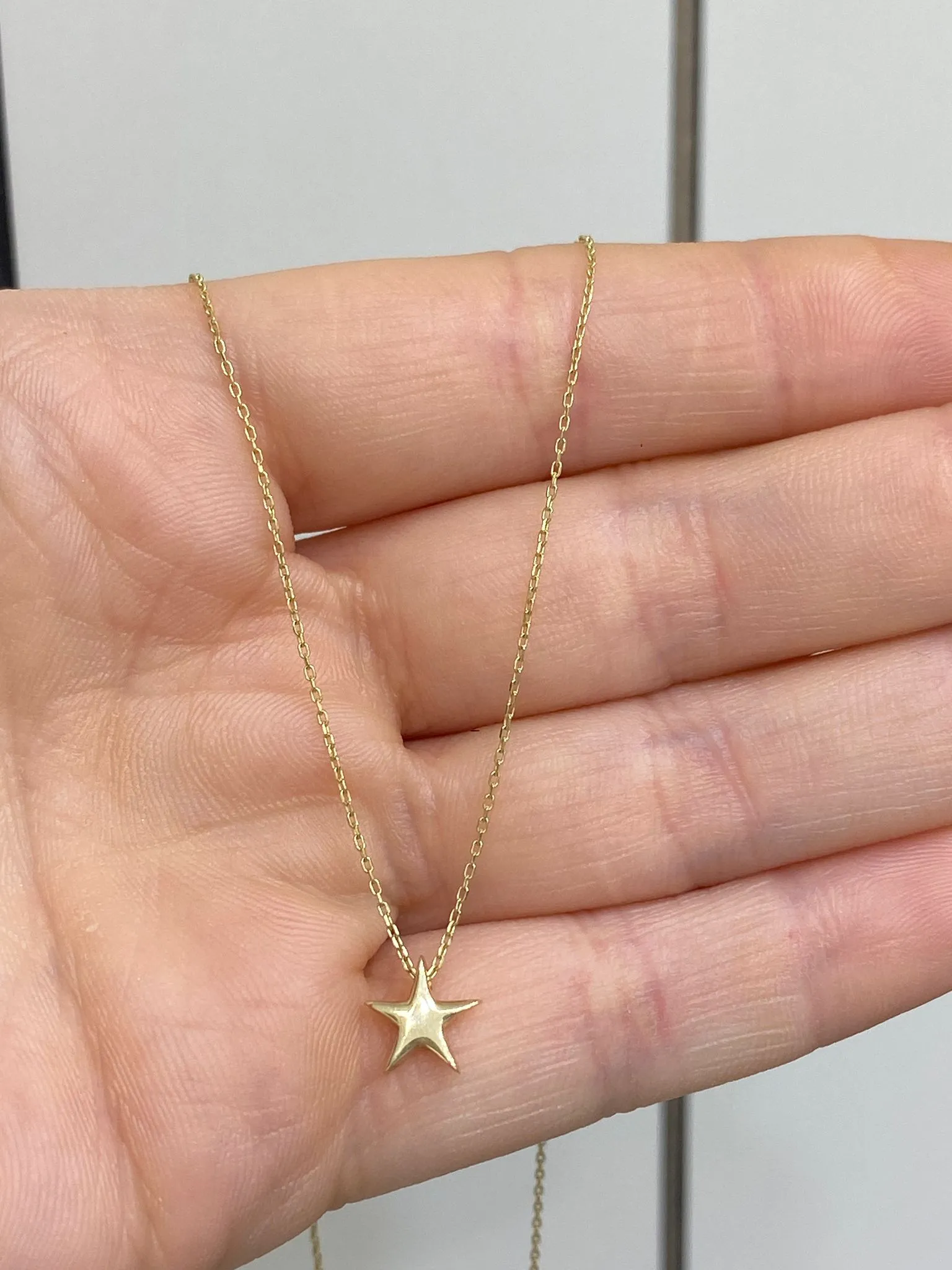 Favori Marka Yıldız Model Kolye