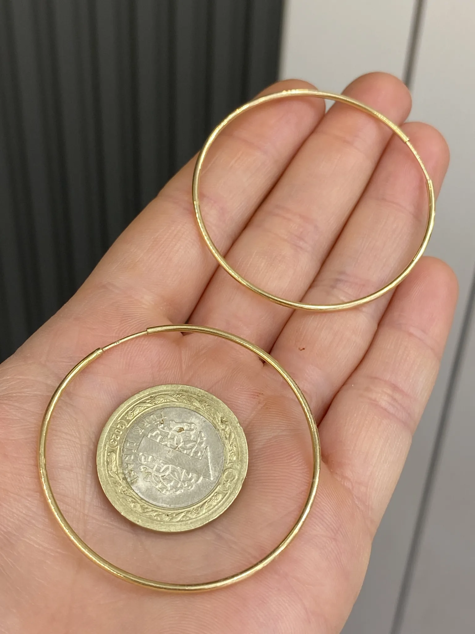 Favori Marka Halka Model Küpe