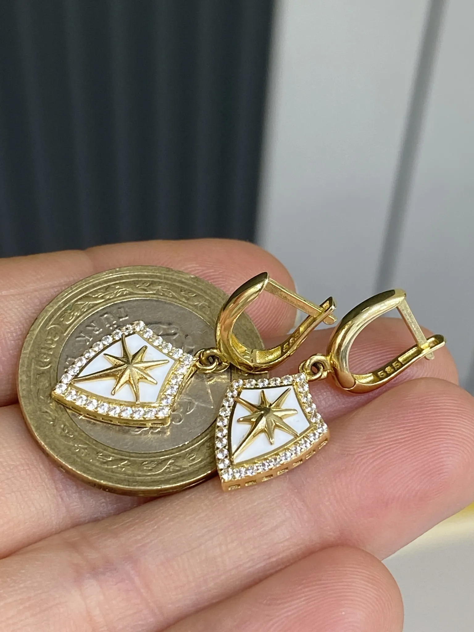 Favori Marka Kutup Yıldızı Model Küpe